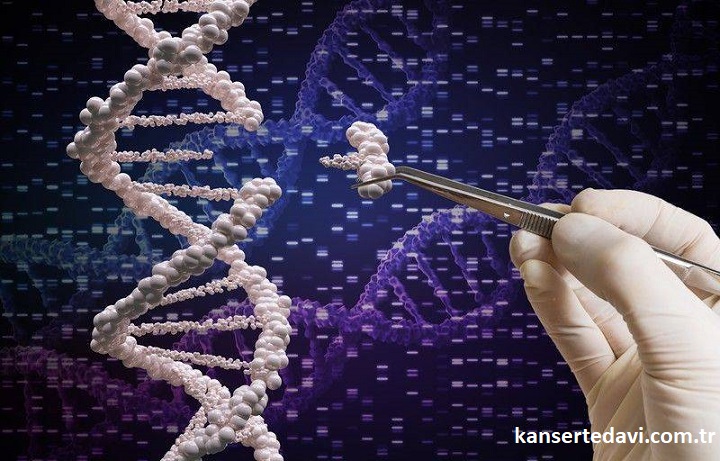 cerrahi onkoloji ve genetik kanser ilişkisi